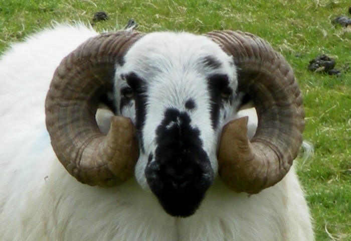 2009 09 Ring of Kerry (79).jpg